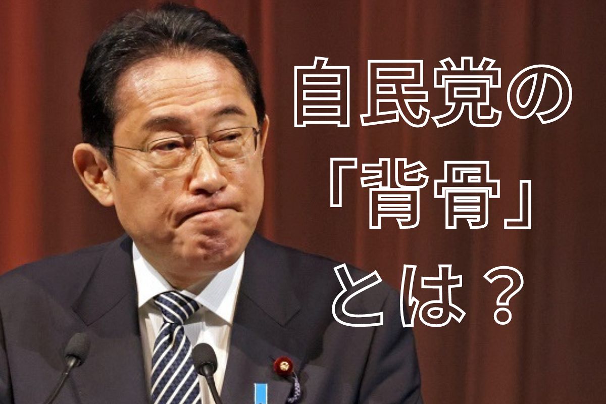 自民党、派閥の代わりは「背骨勉強会」　裏金事件の渦中にピント外れの声も　名称の由来は、あの元首相？：東京新聞 TOKYO Web