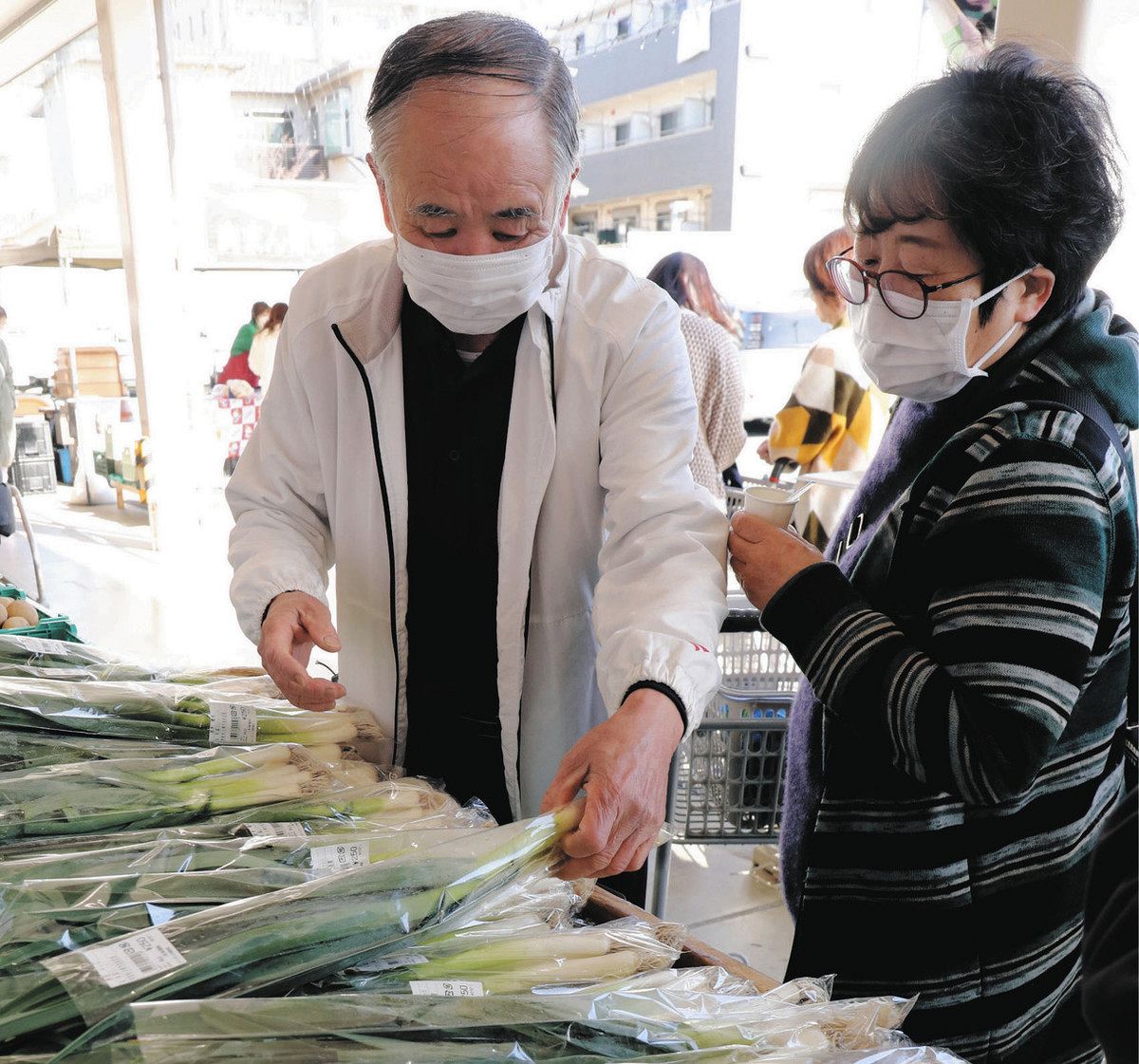 市内産の葉ニンニクPR 栄養価高く香りマイルド JAセレサ川崎：東京新聞