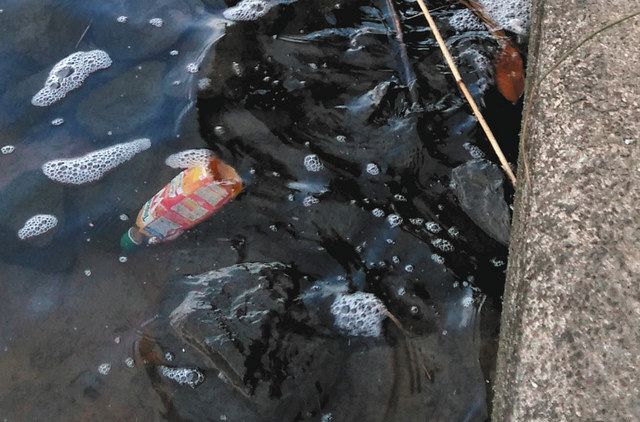 荒川の川岸に漂うペットボトル