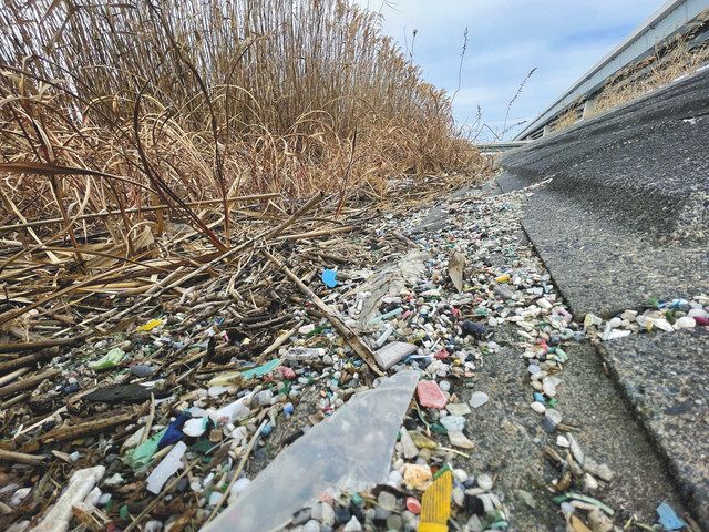 河口から３キロの荒川の河川敷には細かく砕けたプラスチックごみが目立つ＝１５日、東京都江戸川区で（小川慎一撮影）