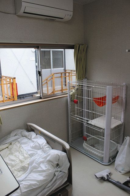 ペットと一緒に宿泊療養ｏｋ コロナ軽症 無症状者向け 品川のプレハブ施設 東京新聞 Tokyo Web