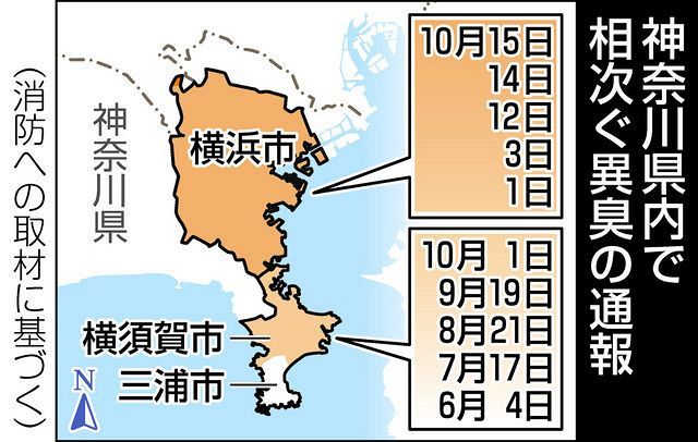 神奈川 地震 神奈川県西部を震源とする地震情報 (日付の新しい順)
