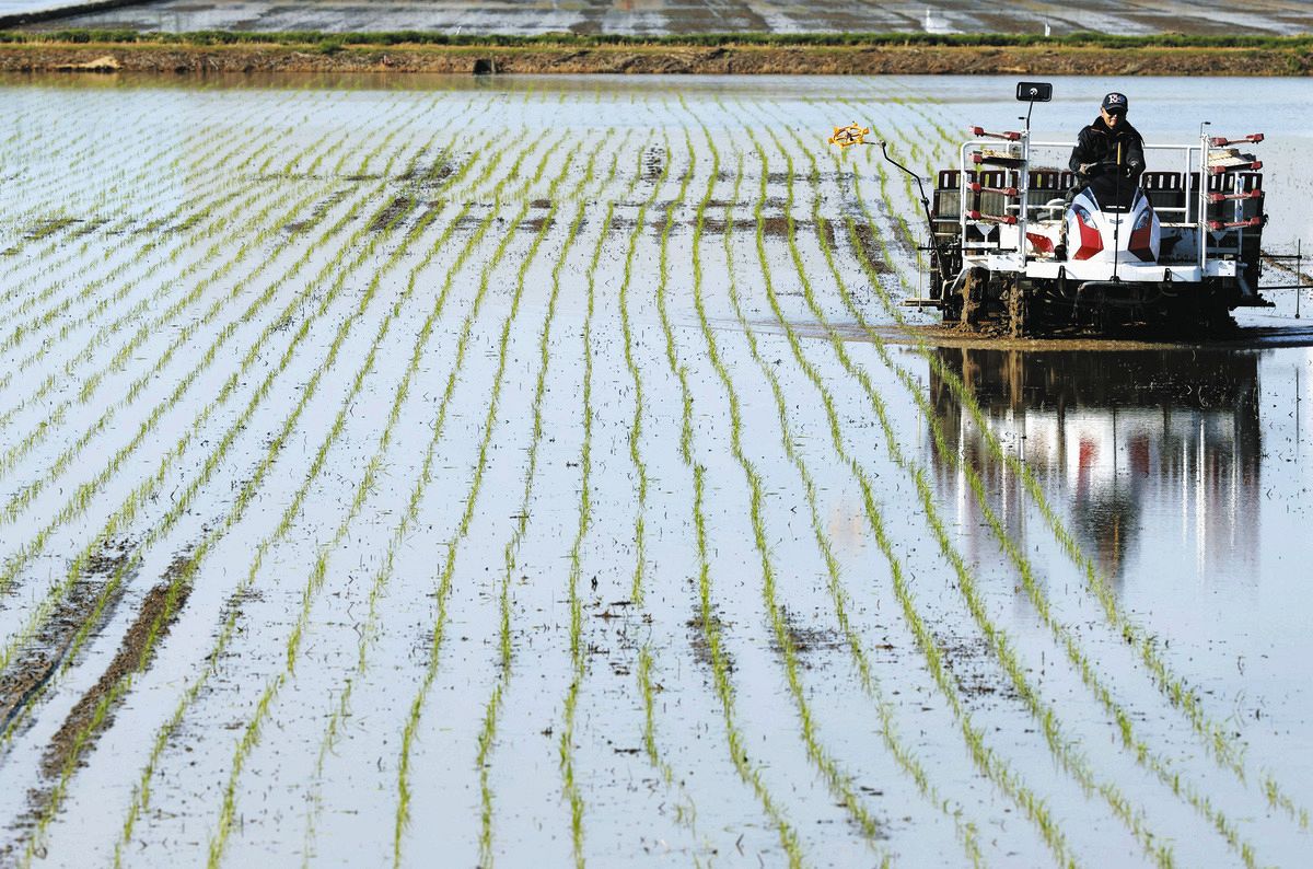 2026年産コメ価格、生産順調なら値下がりも コメ余りでも20県で主食用