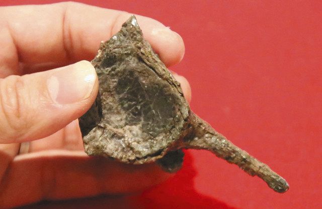 プロトサウルスと確認された骨の化石＝坂東市で
