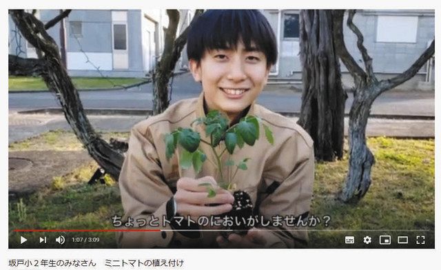 ミニトマトを植える手順を紹介する動画。児童にわかりやすいよう、平仮名の字幕も付けている 