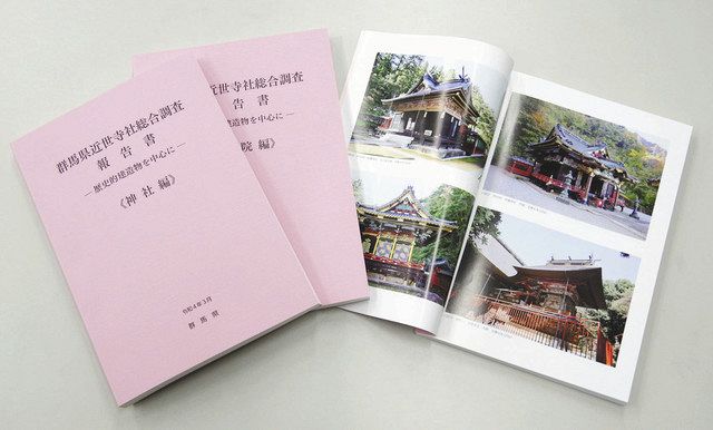 群馬県近世寺社総合調査報告書（県提供） 