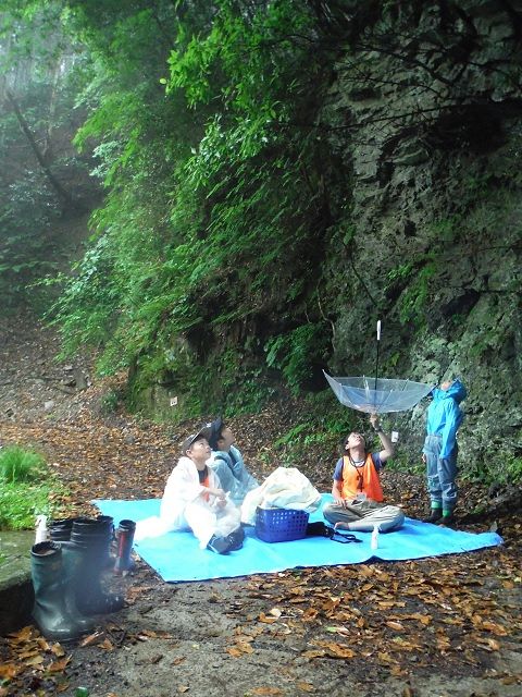 ビニールシートの上に3時間座って粘り、ヒルが木から落ちてくるのを待つ子ども研究員たち