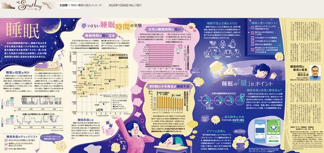 大図解〉睡眠（No.1787）：東京新聞デジタル