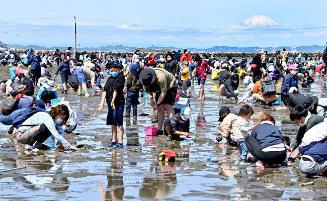 大型連休 富津海岸の潮干狩り場にぎわう 東京新聞 Tokyo Web