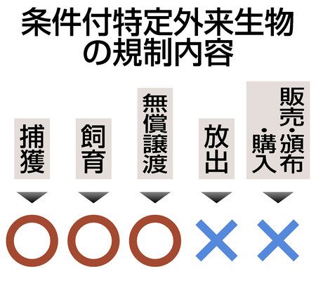 二大外来種 捨てないで 6月に規制開始 生態系に影響、阻止へ：東京新聞