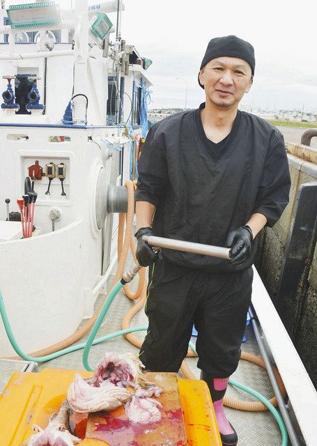 くらし編>とれたての魚に一手間 鮮度長持ち:東京新聞 TOKYO Web