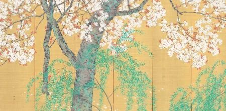 金屏風豪華桜絵時代物 - 建具