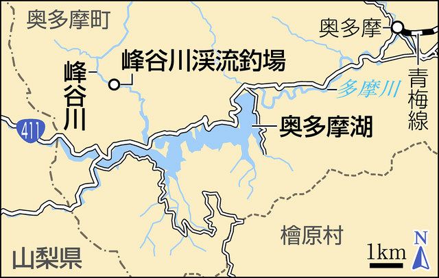 奥多摩新聞 来い サクラマス 峰谷川を聖地に 東京新聞 Tokyo Web