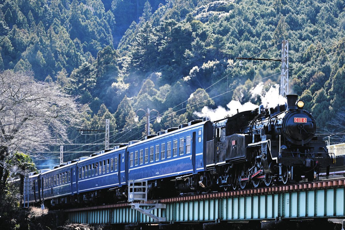 大井川鉄道、おなじみの「黒いSL」は当面お休みに 「パーシー」に改造