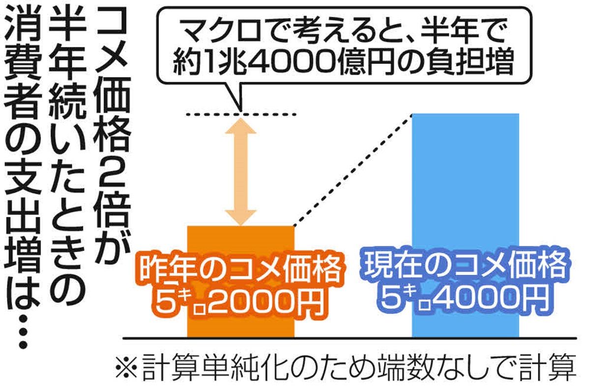 コメ価格の高騰を「食品の消費税増税に例えると…」 エコノミストが試算した、家計への恐るべきインパクト：東京新聞デジタル