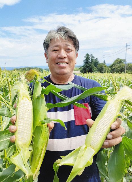 辻岡充さんが丹精込めて育てた白いトウモロコシ＝栃木県那須町で
