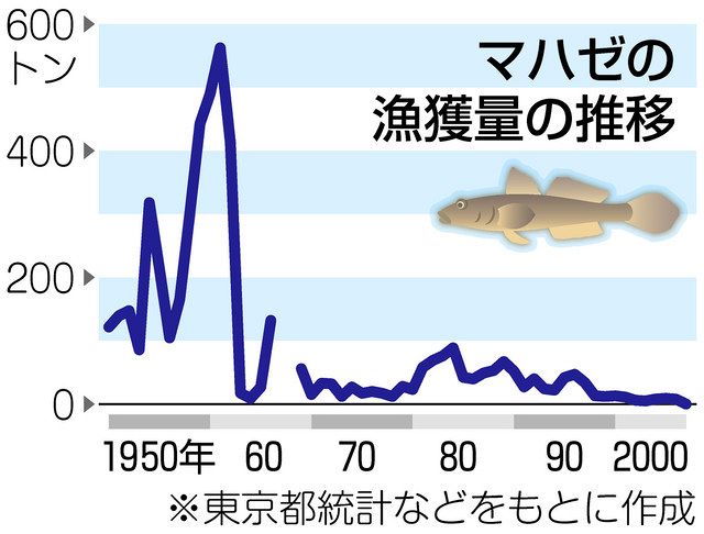 ハゼ 復活の底力 東京湾開発 温暖化 江戸前の魚 今は昔 東京新聞 Tokyo Web