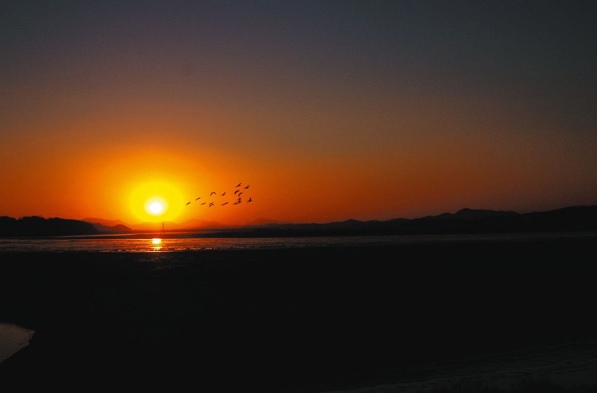 朝鮮半島を南北に分離する軍事境界線付近で、夕日に映える臨津江と飛び立った鳥たち（1999年、松山猛さん撮影）