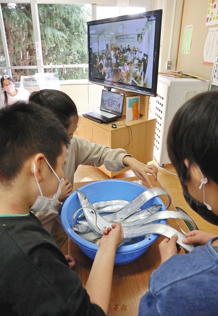 大分県臼杵市の漁師さんから送られたタチウオに触ってみる児童ら＝新座市片山小学校で 