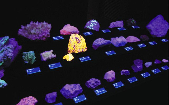紫外線を当てると紫や青、黄色などに輝く蛍光鉱物＝いずれも坂東市で 