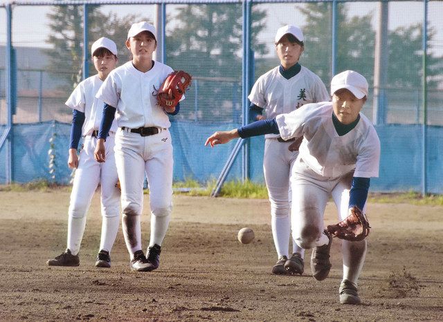 甲子園夢見る野球女子 硬式野球夏の大会 24日開幕 東京新聞 Tokyo Web
