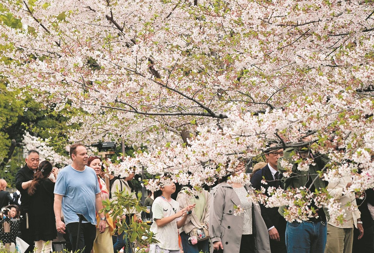 千鳥ヶ淵は名残の桜を楽しむ人々が…都心はぽかぽか陽気「散りかけでも