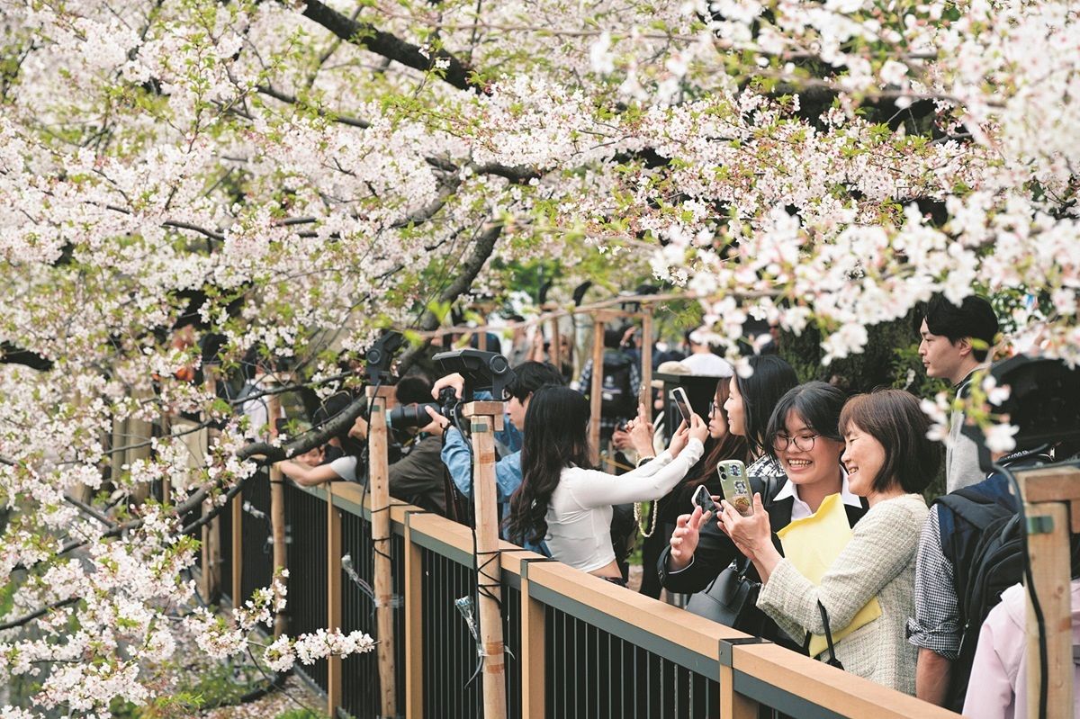 千鳥ヶ淵は名残の桜を楽しむ人々が…都心はぽかぽか陽気「散りかけでも