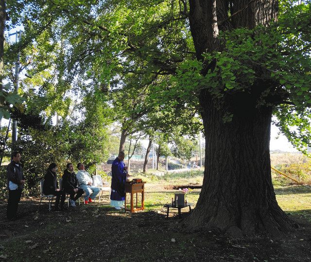 東日本震災の犠牲者鎮魂 立木観音 流山の円東寺で10日まで公開 東京新聞 Tokyo Web