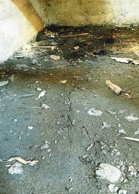 今年２月に民家の床下の地面で見つかった亀裂＝東京都調布市若葉町で