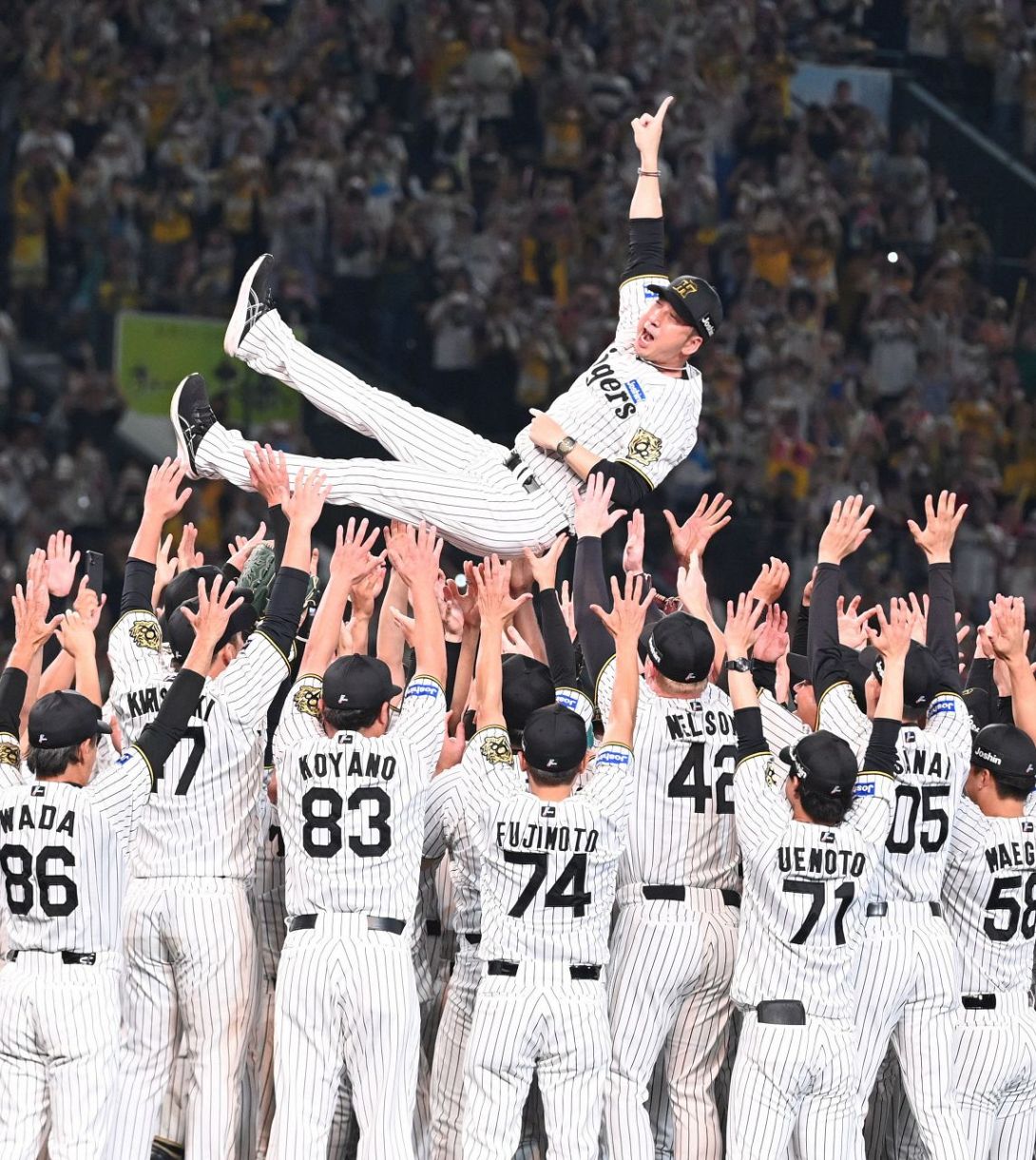 阪神タイガース リーグ優勝 法被 阪神タイガース 2003セ・リーグ優勝記念 完売品 数量限定 V