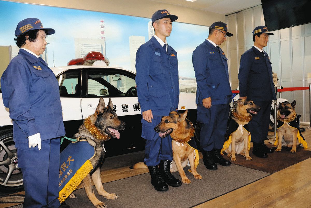 活動歴および当時の関連ビジュアル記録