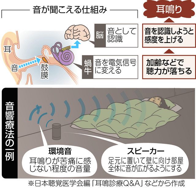 耳鳴り ストア スピーカー