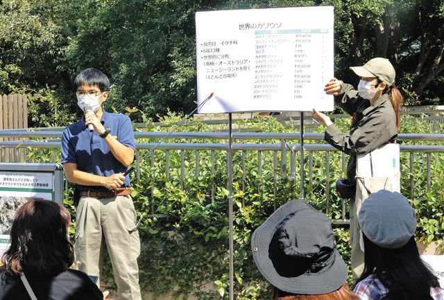 カワウソについて解説する大橋さん（左）＝台東区の上野動物園で