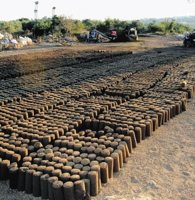 屋外で乾燥中の固形燃料ピート=シェイクさん提供