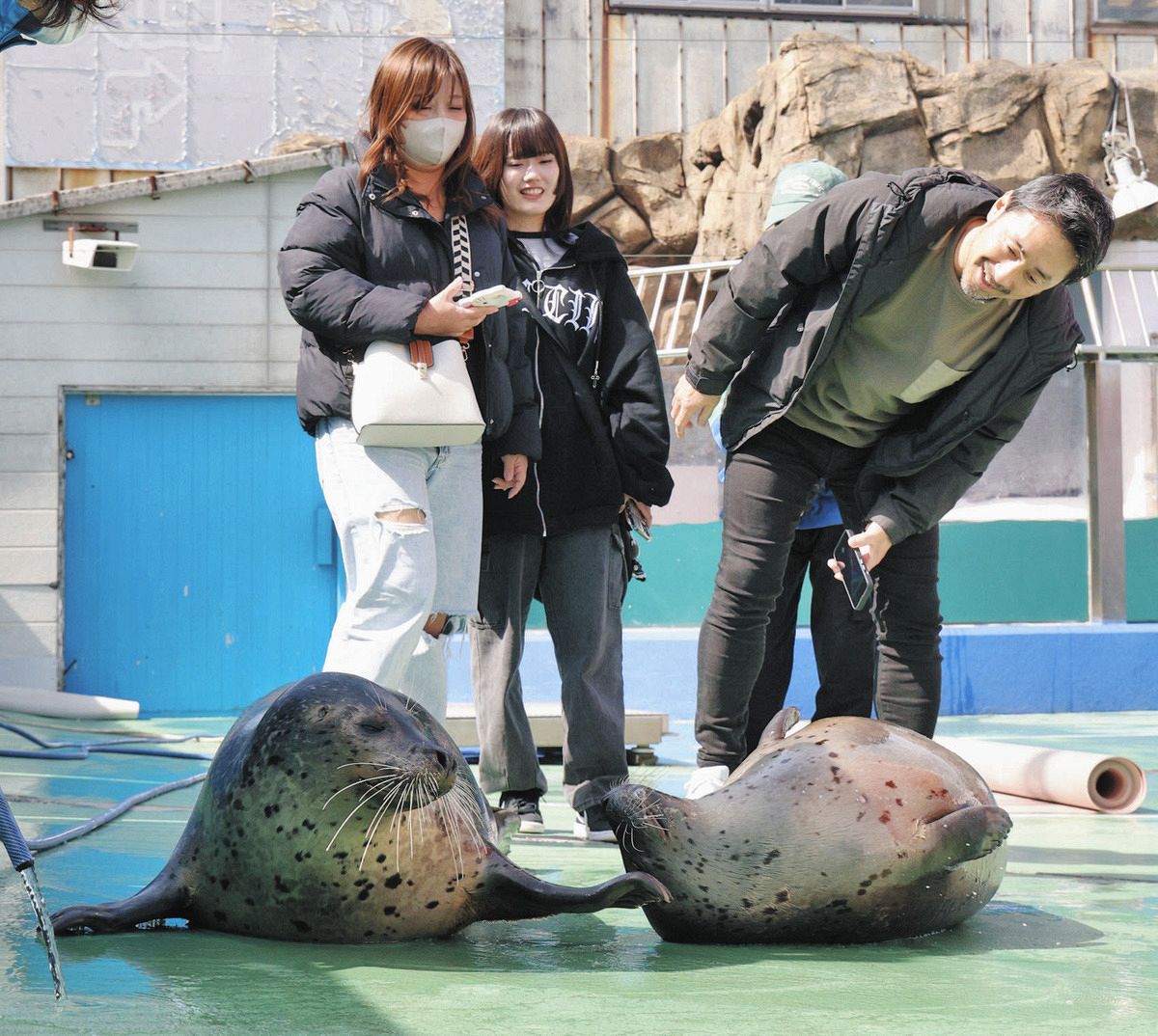 魚の水槽を眺めるペンギン、通路を転がるアザラシ…動物との｢距離なし
