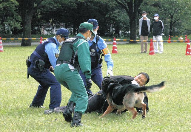 警備犬とともに犯人役の男を取り押さえる警察官＝立川市の昭和記念公園で