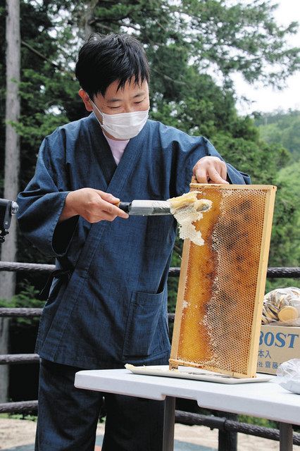 ミツバチの巣からみつを採取する松沼孝行さん
