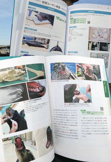 かいじゅう新書⁉ 海獣たちの治療 国内発の教科書誕生 新江ノ島水族館獣