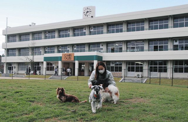 コンタクト大手のあの会社がなぜ 飼い主と暮らせない犬のシェルター 茨城にオープン 東京新聞 Tokyo Web