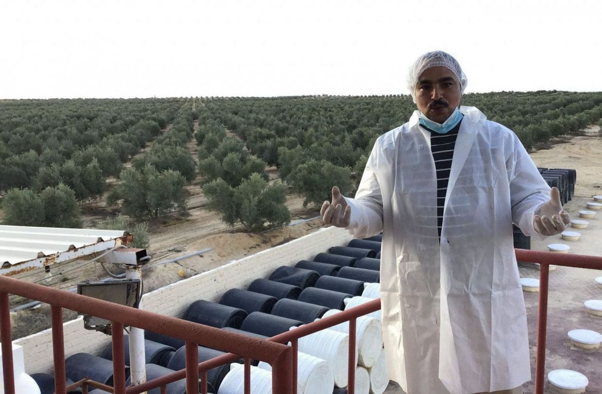 2021年12月初旬、エジプト北部アルベヘイラ県のオレイヤバレー農園で、「できることは全てやる」と気候変動対策について話すアフマド・メンサウィさん