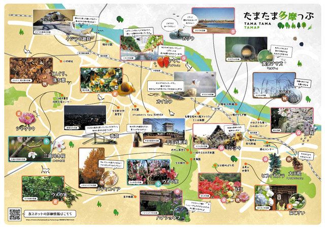生き物目線で多摩区の魅力を紹介するマップ 