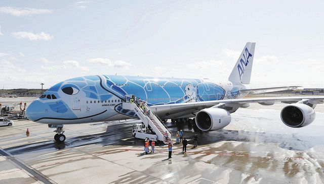 お見送り 滑走路にカメが現れ成田空港が12分間閉鎖 出発便に遅れ 東京新聞 Tokyo Web