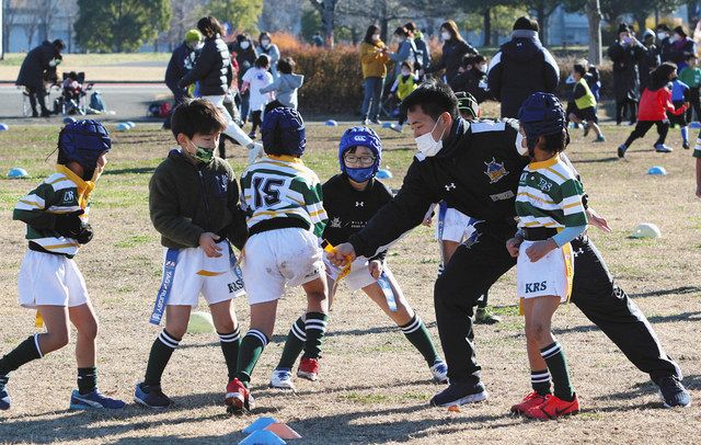 ラグビーの熊谷」期待 リーグワン来月開幕 ワイルドナイツ、16日初戦