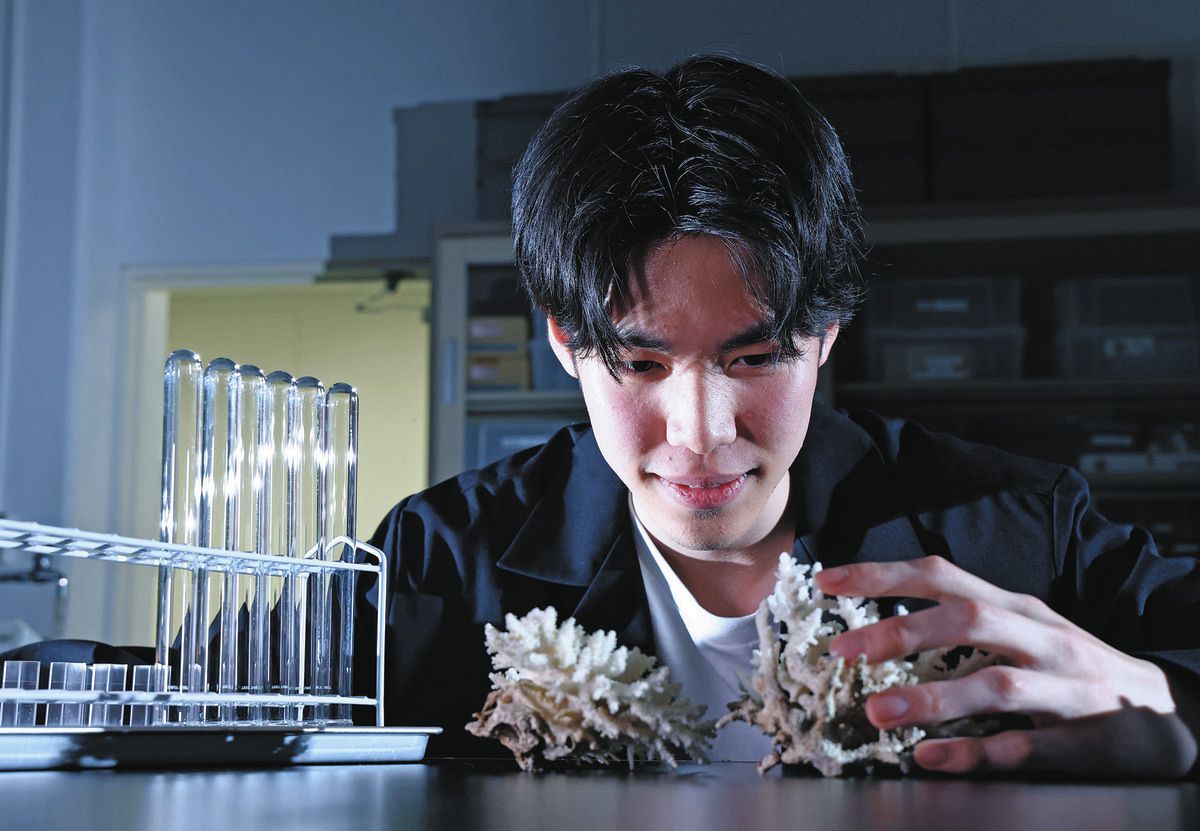サンゴの毒」に青春かける高校生、研究で全国最優秀賞 「見てい サンゴの毒」に青春かける高校生、研究で全国最優秀賞 「見てい
