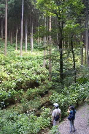東京舞台さんぽ 五日市物語 あきる野市 私擬憲法の蔵も 東京新聞 Tokyo Web