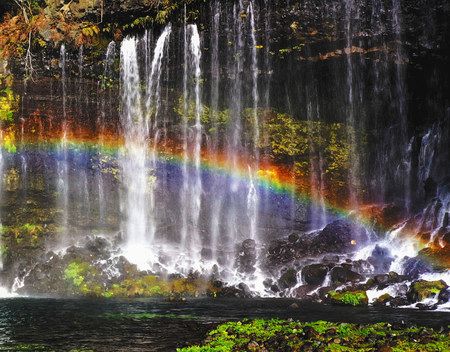 名の通り幾本もの糸が垂れ下がるように流れ落ちる「白糸の滝」。しぶきによって鮮やかな虹が架かった＝富士宮市で