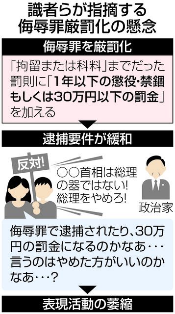 侮辱罪の厳罰化に賛否 批判の自由 損なわれる懸念も 参院で参考人質疑 東京新聞 Tokyo Web 侮辱罪の厳罰化に賛否 批判の自由 損なわれる懸念も 参院で参考人質疑 東京新聞 Tokyo Web