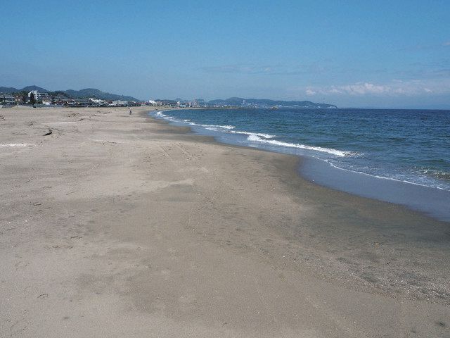 三浦海岸海水浴場 開設せず 感染再拡大 神奈川県のガイドライン影響 和田海岸は開設 この海が好きな人いる限り 東京新聞 Tokyo Web