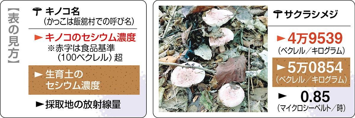 食用キノコのセシウム汚染の現状は？ 東京電力福島第1原発事故から12年