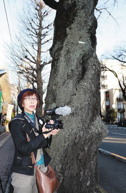 矢野さんと出会うきっかけとなったさくら通りでカメラを手にする前田さん＝国立市で
